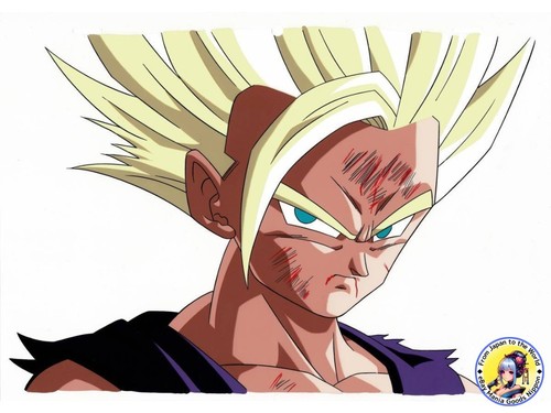 Dragon ball son gohan - gohan, cel