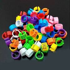 10 BAGUES plastique ouverte 8mm pour pigeons à clipper couleur au choix numéroté