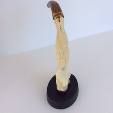 dent phacochere sculptee 