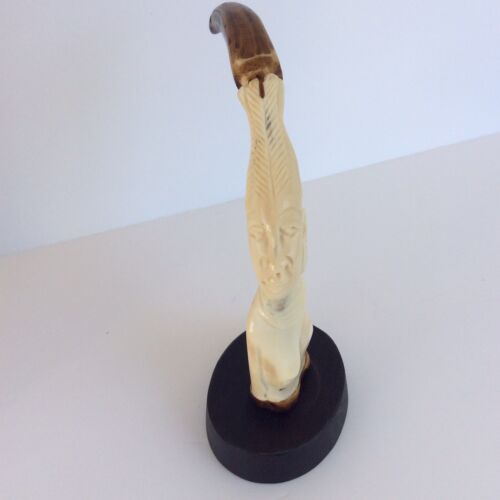Dent phacochere sculptee - dent,