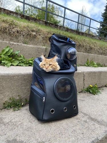 Sac dos chat xxl - dos,