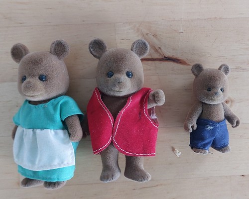 Famille ours les petits malins - ours,