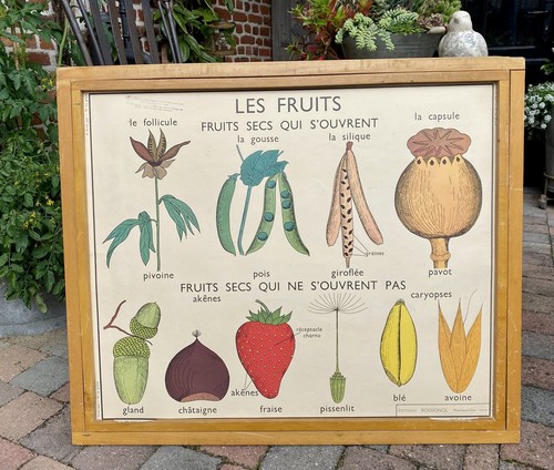 Ancienne affiche scolaire - ancienne,