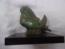 canard mandarin pigeon Régule