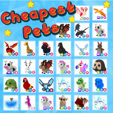 Virtual pet game egg - mfr, /