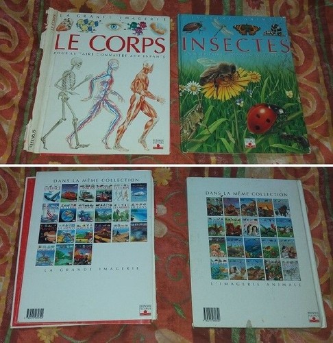Corps humain les insectes - +,