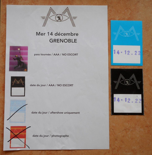 Mathieu chedid pass concert - m,