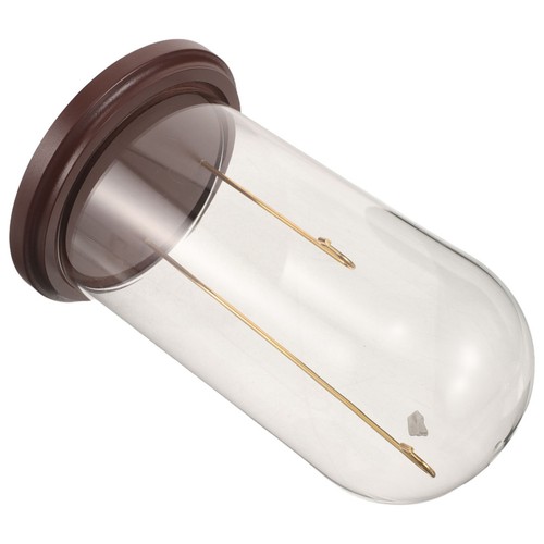 Vitrine sous cloche - , verre