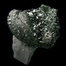 ★☆ TÉRÉBRATULE EN