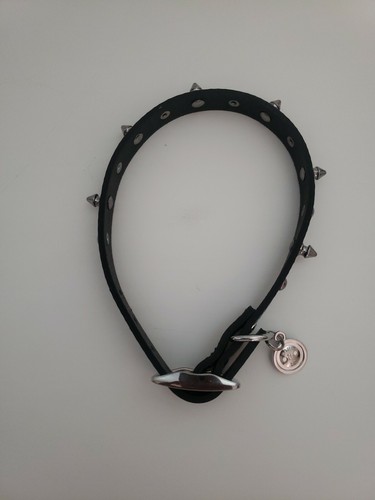 Spiked dog collar - spiked,