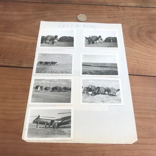 Photo militaire guerre - guerre, d