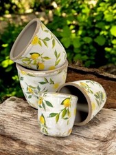 Pot de Fleurs Fleur Cache-Pot