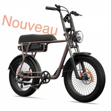 Fat Bike Vélo Électrique Pinscher W1