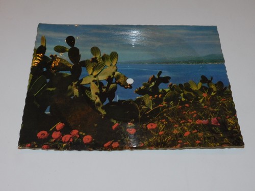 Carte postale disque cote - disque,
