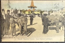 Carte postale postcard - 🦬,