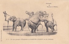 Carte postale ancienne card CIRQUE BARNUM ET BAILEY 1 éléphant elephant dresseur