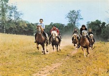 61-TRUN-ETANG D OMMOI-HAFLINGER AU GALOP-N�T571-D/0087