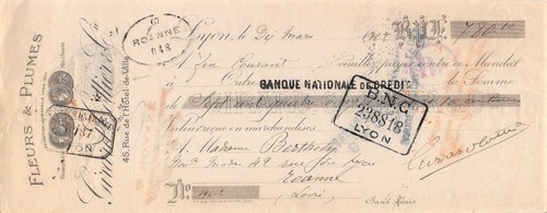 1922 fleurs plumes girard - plumes,