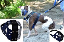 Museau américain PITBULL Staffordshire Bullterrier Rottweiler Dogo Museau BSW