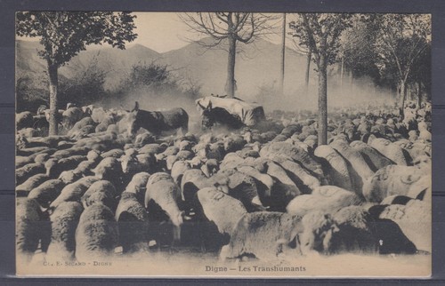 Alpes haute provence - alpes,