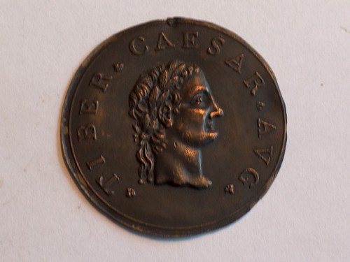 Plaque tiber caesar avg 0cm - plaque,