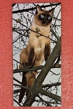 Carte MERVEILLES DU MONDE