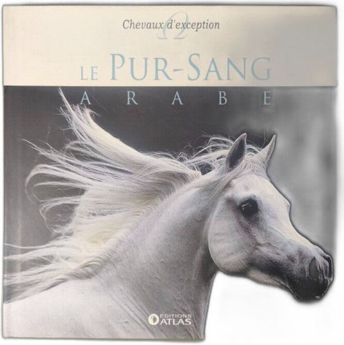 Pur sang arabe - pur-sang, |