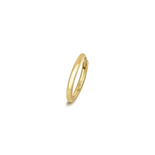 Boucle oreille cartilage - boucle,