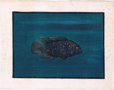 Peinture Artisanale De Poisson Jack Dempsey Cichlidé Sur Tissu De Soie 9X7"