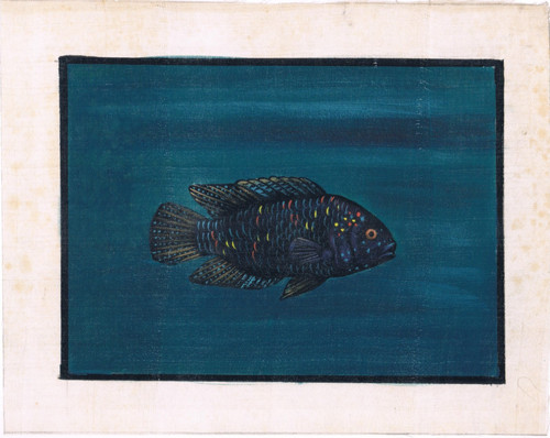 Peinture artisanale poisson - artisanale, de