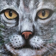 Tableau Portrait Chat Tourrier