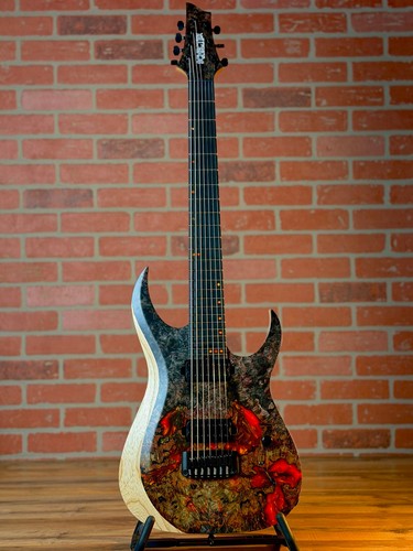 Schecter usa custom shop - schecter,