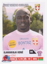 Panini Foot 2014 - Djakaridja