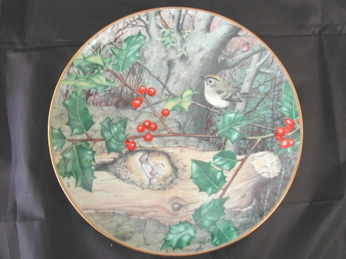 Assiette plate limited - assiette,