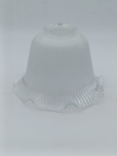 Tulipe globe lampe verre