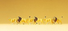 Ensemble De Figurines De Lions