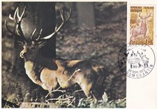 Carte postale 1er Jour timbre 1972 ROMORANTIN SOLOGNE chasse CERF HIRSCH STAG 2