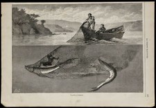 1869 - La pêche à