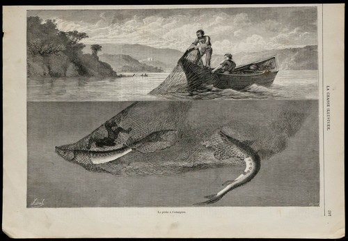 1869 pêche à - pêche,