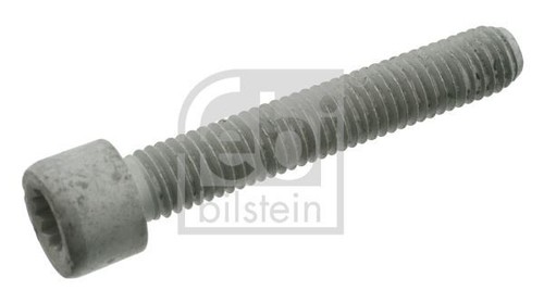 100x boulon flasque - 100x,