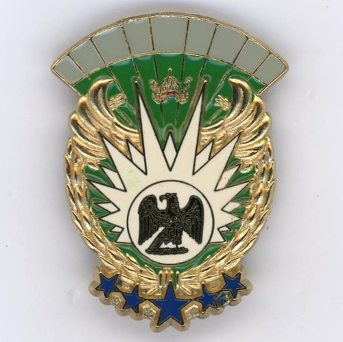 Régiment de dragons - régiment,