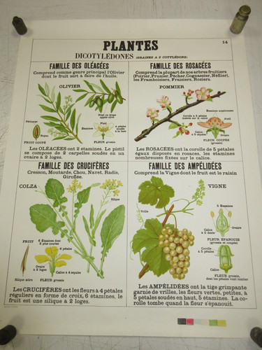 Affiche planche ecole - affiche,