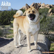 Calendrier 2018 - AKITA INU