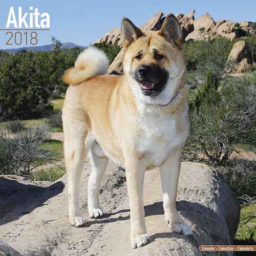 Calendrier 2018 akita - calendrier,
