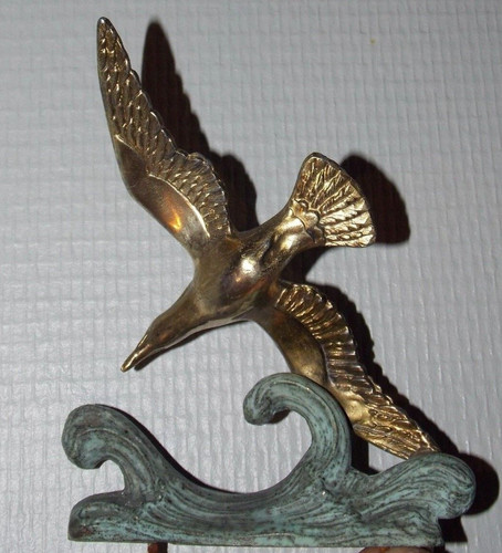 Sujet oiseau mouette vague - sujet,