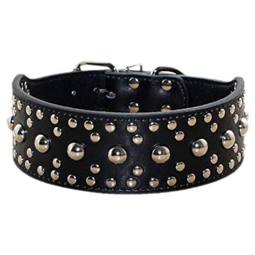 Collier unisexe pour chien - , en