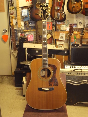 Guild natural premium - d-55,