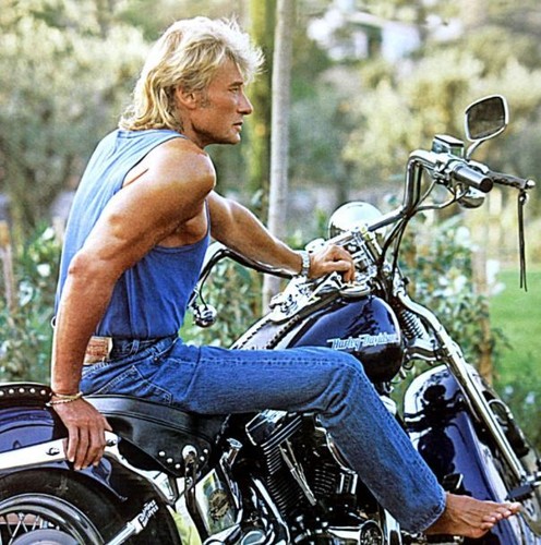 Photo johnny hallyday - johnny, rock
