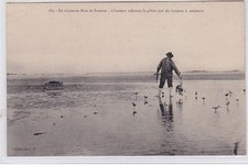 La chasse en Baie de Somme - chasseur relevant le gibier tué du hutteau à ce