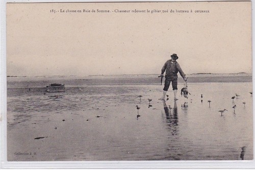Chasse baie somme - en,